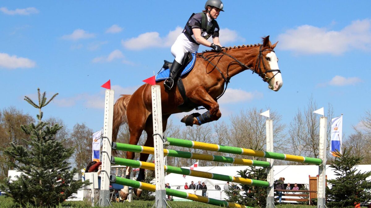 Springen I Eventing Etten-Leur