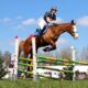 Springen I Eventing Etten-Leur