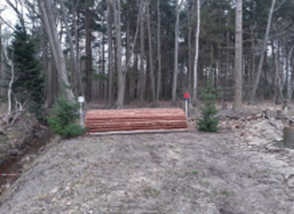 03 Koepel (L paarden)
