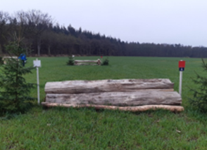 10. Kleine L (L paarden)