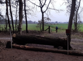 08. Bosuitsprong (L paarden)