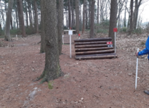 Hindernis 06. Coffin (M/Z paarden) I Eventing Etten-Leur