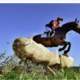 Artikel bndestem I Nieuw onderdeel Eventing Etten-Leur