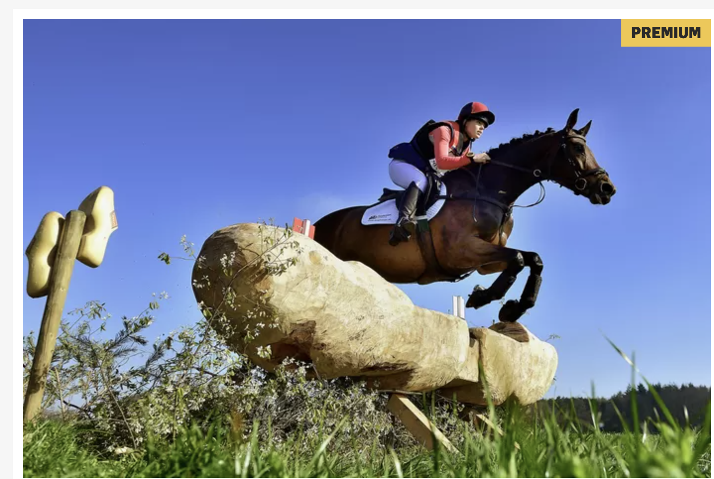 Artikel bndestem I Nieuw onderdeel Eventing Etten-Leur