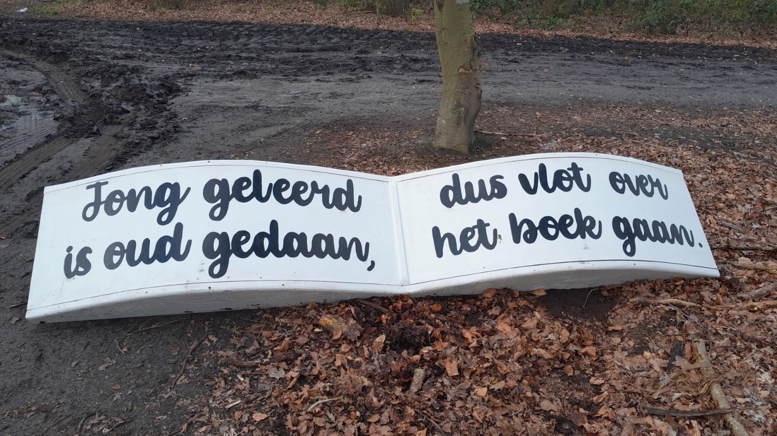 06. Hindernis oefencross